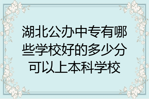 湖北公办中专有哪些学校好的多少分可以上本科学校
