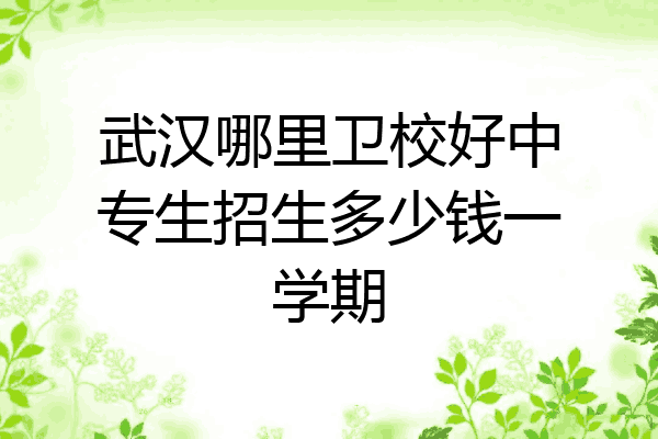 武汉哪里卫校好中专生招生多少钱一学期