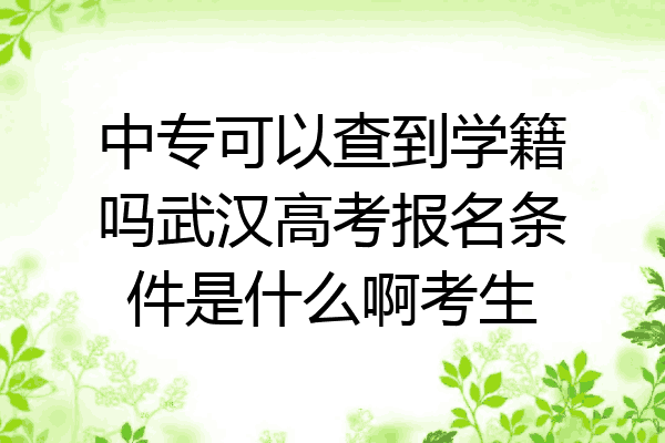 中专可以查到学籍吗武汉高考报名条件是什么啊考生