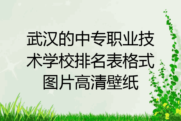 武汉的中专职业技术学校排名表格式图片高清壁纸