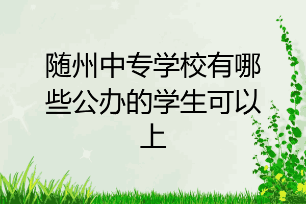 随州中专学校有哪些公办的学生可以上