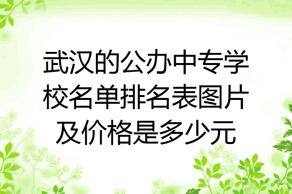 武汉的公办中专学校名单排名表图片及价格是多少元