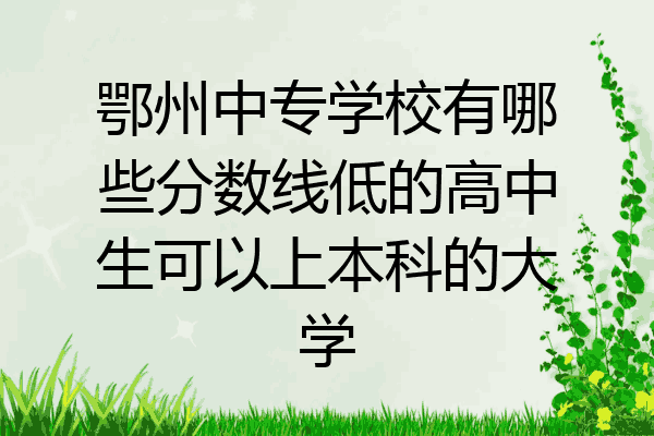 鄂州中专学校有哪些分数线低的高中生可以上本科的大学