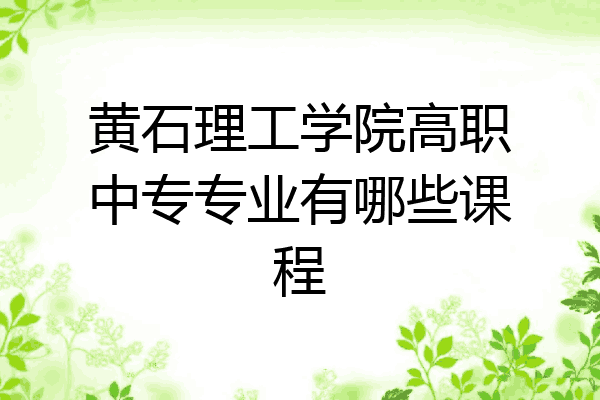 黄石理工学院高职中专专业有哪些课程