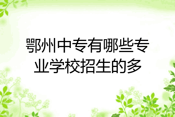 鄂州中专有哪些专业学校招生的多