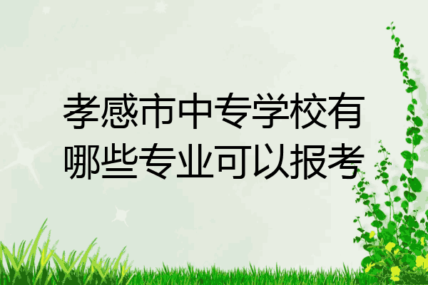 孝感市中专学校有哪些专业可以报考
