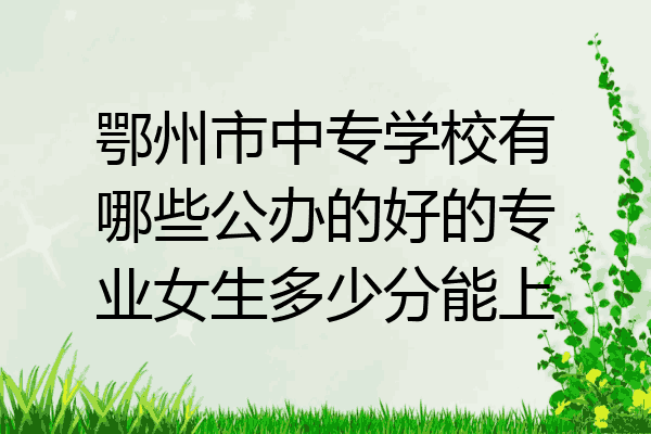 鄂州市中专学校有哪些公办的好的专业女生多少分能上