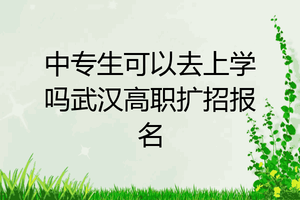 中专生可以去上学吗武汉高职扩招报名