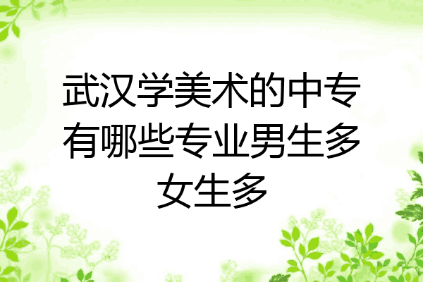 武汉学美术的中专有哪些专业男生多女生多