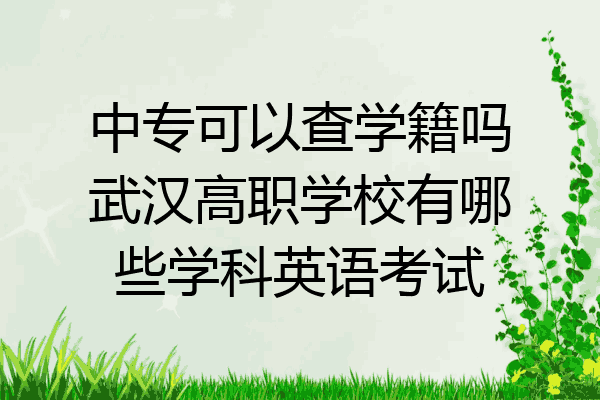 中专可以查学籍吗武汉高职学校有哪些学科英语考试