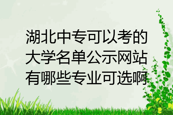 湖北中专可以考的大学名单公示网站有哪些专业可选啊