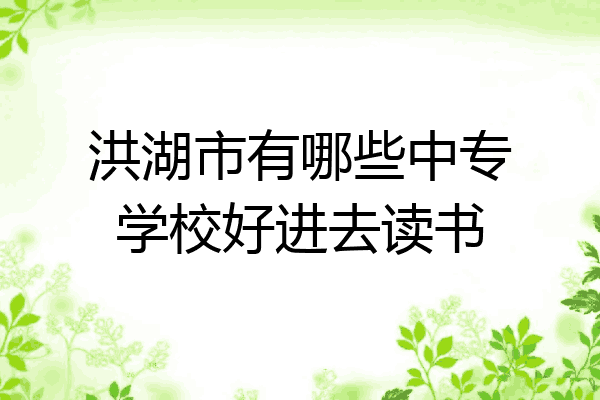 洪湖市有哪些中专学校好进去读书