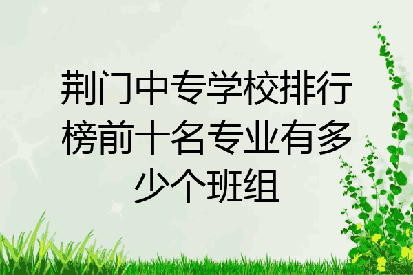 荆门中专学校排行榜前十名专业有多少个班组