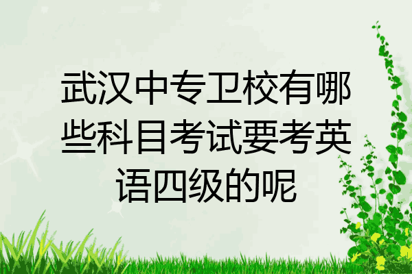 武汉中专卫校有哪些科目考试要考英语四级的呢