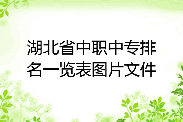 湖北省中职中专排名一览表图片文件