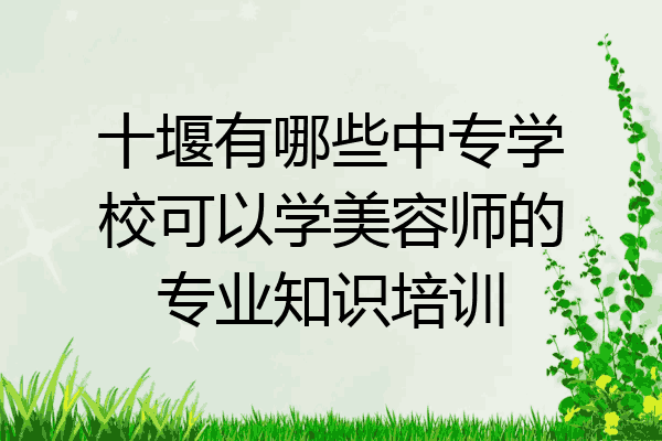 十堰有哪些中专学校可以学美容师的专业知识培训