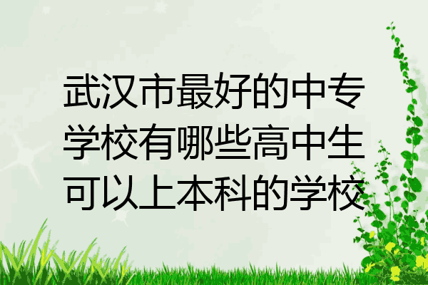 武汉市最好的中专学校有哪些高中生可以上本科的学校
