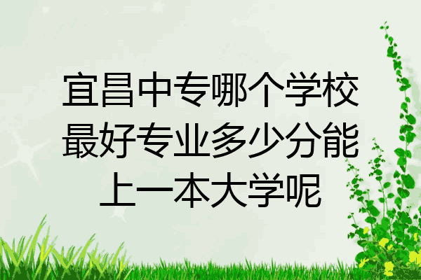 宜昌中专哪个学校最好专业多少分能上一本大学呢