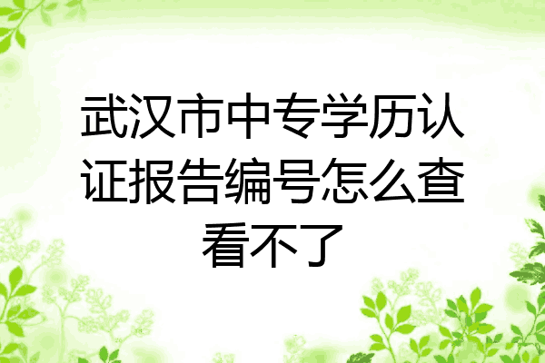 武汉市中专学历认证报告编号怎么查看不了