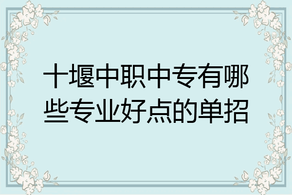 十堰中职中专有哪些专业好点的单招