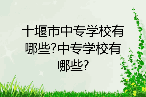 十堰市中专学校有哪些?中专学校有哪些?