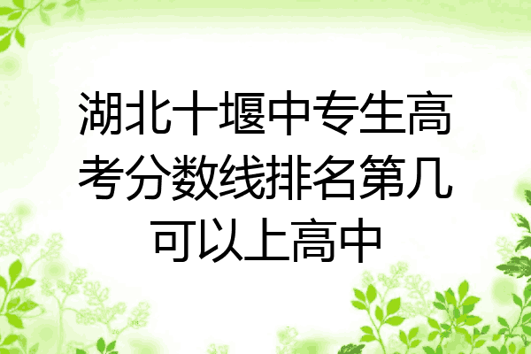 湖北十堰中专生高考分数线排名第几可以上高中