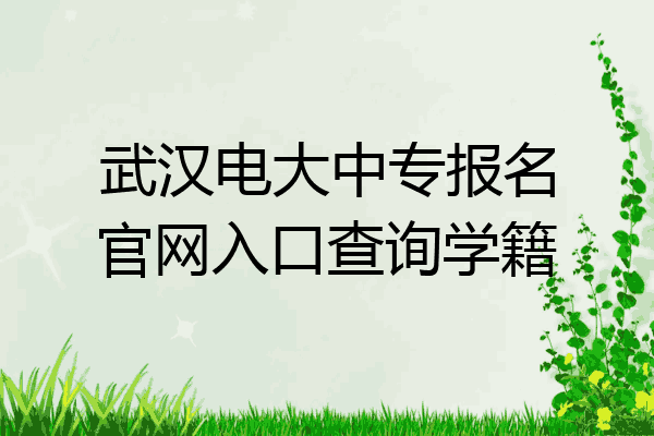 武汉电大中专报名官网入口查询学籍