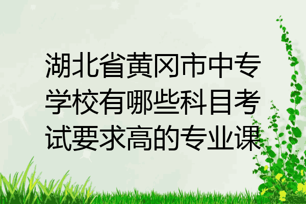 湖北省黄冈市中专学校有哪些科目考试要求高的专业课