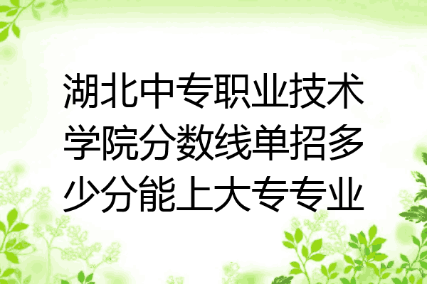 湖北中专职业技术学院分数线单招多少分能上大专专业