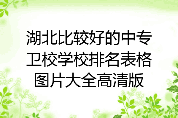 湖北比较好的中专卫校学校排名表格图片大全高清版