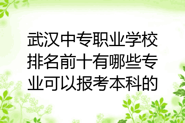 武汉中专职业学校排名前十有哪些专业可以报考本科的