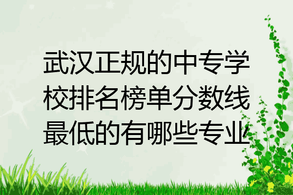 武汉正规的中专学校排名榜单分数线最低的有哪些专业
