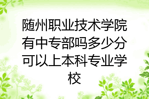 随州职业技术学院有中专部吗多少分可以上本科专业学校