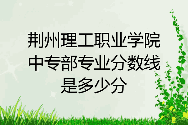 荆州理工职业学院中专部专业分数线是多少分