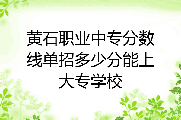 黄石职业中专分数线单招多少分能上大专学校