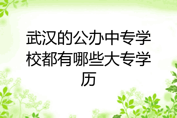 武汉的公办中专学校都有哪些大专学历