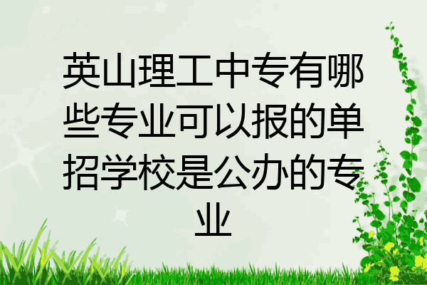 英山理工中专有哪些专业可以报的单招学校是公办的专业