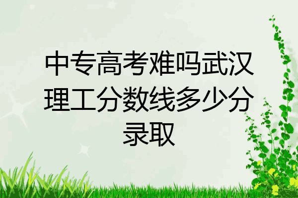 中专高考难吗武汉理工分数线多少分录取
