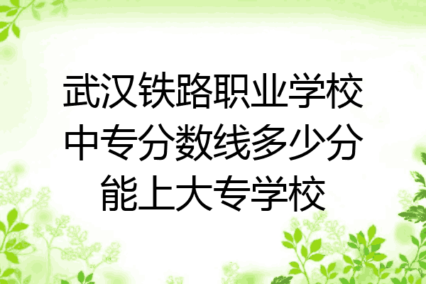 武汉铁路职业学校中专分数线多少分能上大专学校