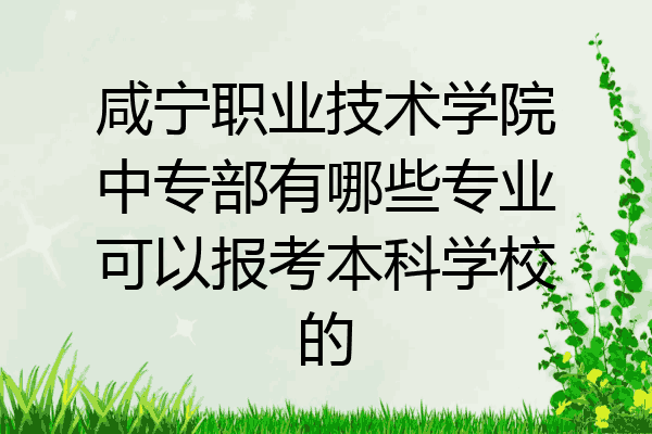 咸宁职业技术学院中专部有哪些专业可以报考本科学校的