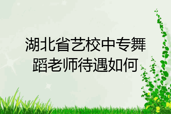 湖北省艺校中专舞蹈老师待遇如何