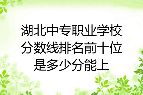 湖北中专职业学校分数线排名前十位是多少分能上