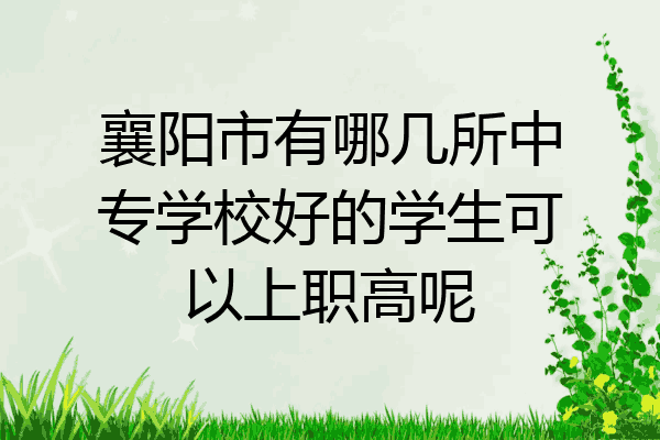 襄阳市有哪几所中专学校好的学生可以上职高呢