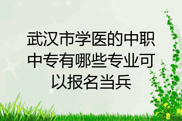 武汉市学医的中职中专有哪些专业可以报名当兵