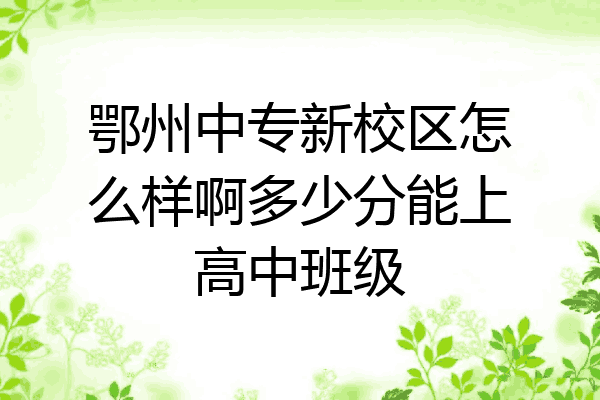 鄂州中专新校区怎么样啊多少分能上高中班级