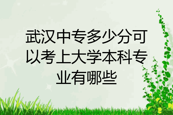 武汉中专多少分可以考上大学本科专业有哪些