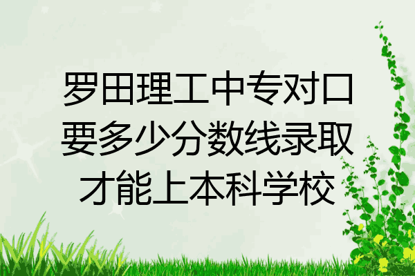 罗田理工中专对口要多少分数线录取才能上本科学校