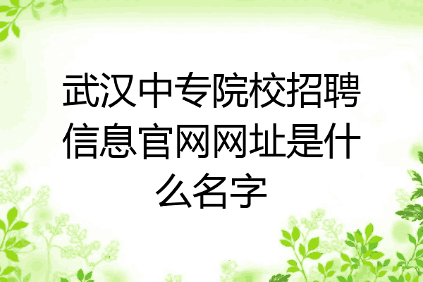 武汉中专院校招聘信息官网网址是什么名字