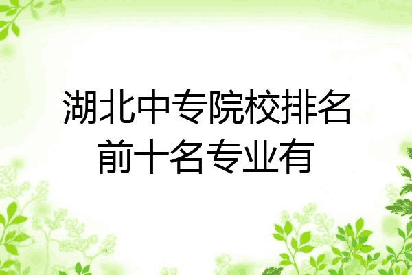 湖北中专院校排名前十名专业有
