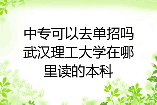 中专可以去单招吗武汉理工大学在哪里读的本科